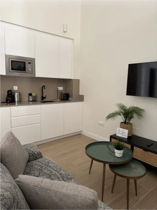 Salón y cocina integrada de un apartamento limpio